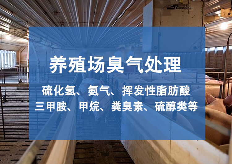 養(yǎng)殖場(chǎng)廢氣處理規(guī)范，養(yǎng)殖場(chǎng)臭氣處理的重要性