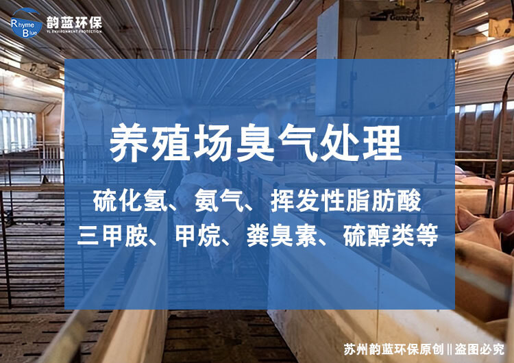 豬舍除臭系統(tǒng)有哪些？探討豬舍除臭技術(shù)